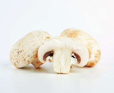 fresh cut mushrooms champignons on white background, close upの写真素材