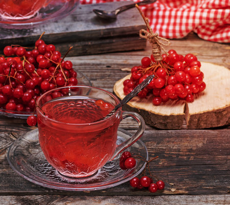 hot viburnum tea in a transparent cup with a handle and saucer on a gray wooden table, next to fresh berriesの写真素材