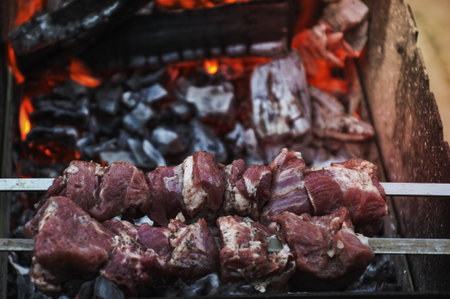 fresh meat marinated with onions and spices for barbecueの写真素材