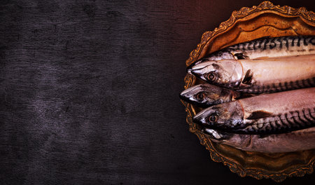 Fresh whole mackerel on a copper plate, black background, empty space on the leftの写真素材
