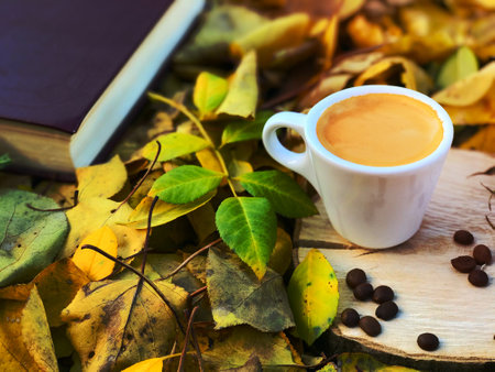small cup of espresso on a stump among the yellow leaves, top viewの写真素材