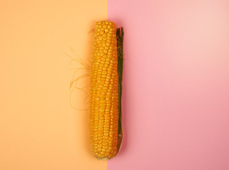 one ripe yellow corn cob on a abstract background, top view, copy spaceの写真素材