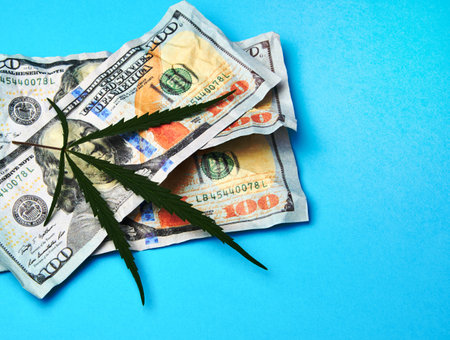 crumpled banknotes of american dollars and green leaf of hemp on a blue background, concept of making money on illegal businessの写真素材