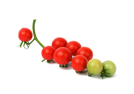 red ripe tomatoes on a green branch on a white background, healthy vegetable, close upの写真素材