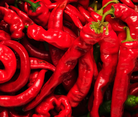 many red whole fruits of hot pepper, full frame, close upの写真素材