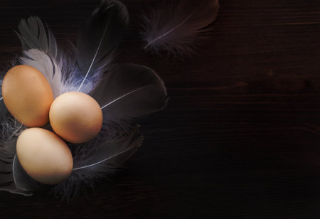 Three raw chicken yellow eggs among feathers on a wooden surface, top view, empty space on the rightの写真素材
