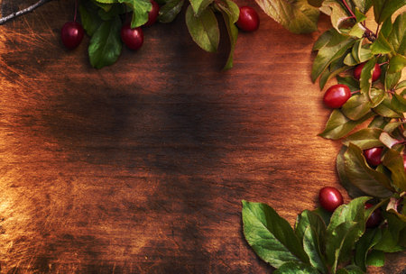wooden texture retro background with a branch of red plumの写真素材