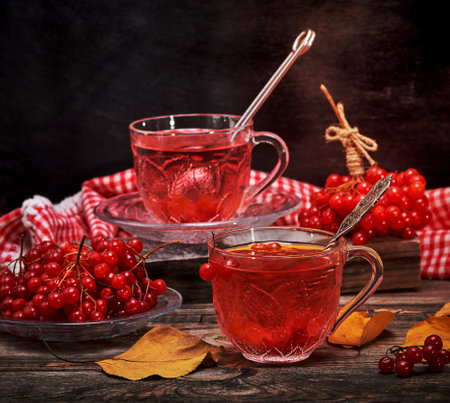 viburnum tea in a transparent cup with a handle and saucer on a gray wooden table, next to fresh berriesの写真素材