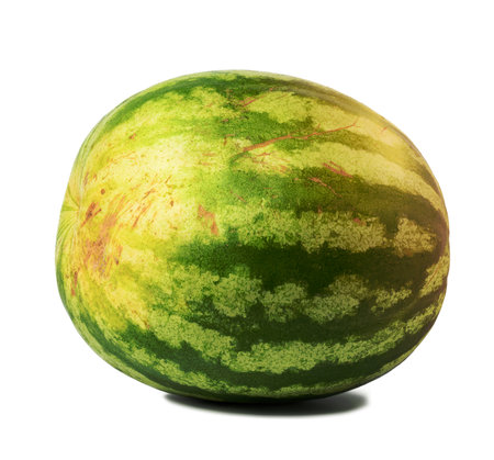 whole ripe round striped watermelon with yellow side isolated on white background, delicious summer berryの写真素材