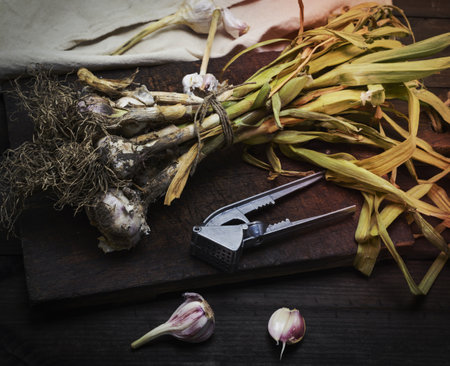 young garlic tied in a bundle with a rope on a brown wooden boardの写真素材