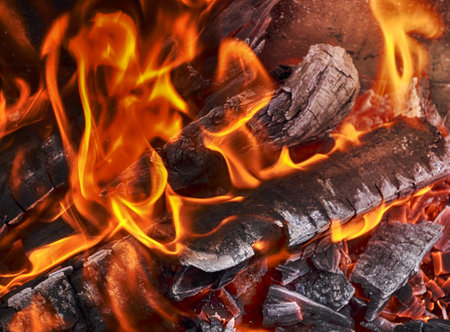 Bonfire of wooden logs, a bright fireの写真素材