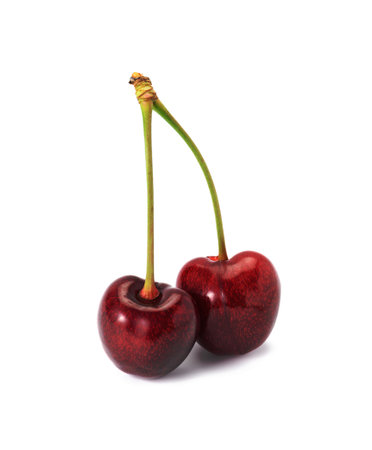 two ripe red cherries held together by a green shank on a white backgroundの写真素材