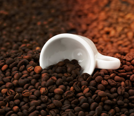 white ceramic cup lies on a pile of brown roasted arabica and robusta coffee beans, full frameの写真素材