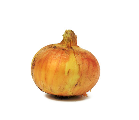 whole onion in brown husk isolated on white backgroundの写真素材