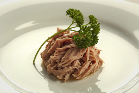 A photograph of a white plate displaying a neatly arranged mound of shredded tuna