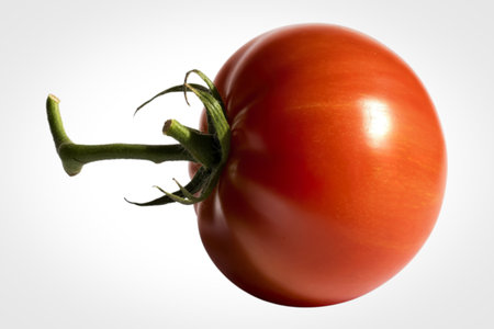 A photograph of a single, vibrant red tomatoの写真素材