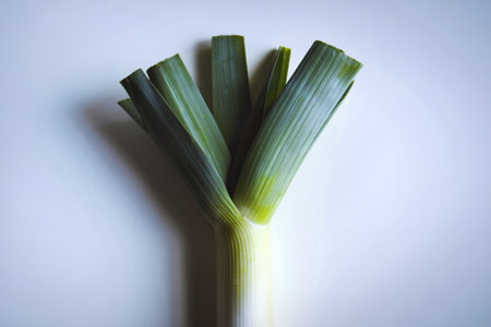 a single fresh leek against a pure white backgroundの写真素材