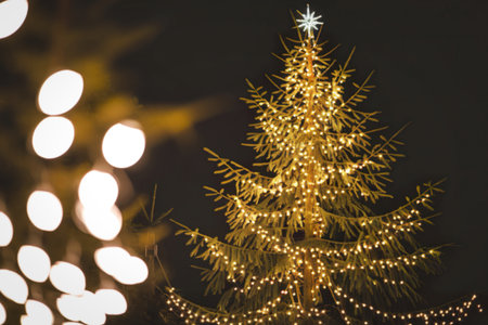 a tall, illuminated Christmas treeの写真素材