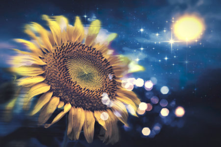 A photograph of a single, oversized sunflowerの写真素材