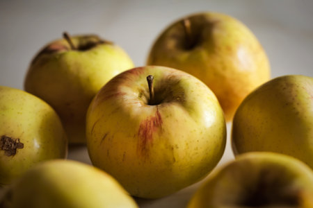 a close-up shot of juicy yellow and ripe applesの写真素材