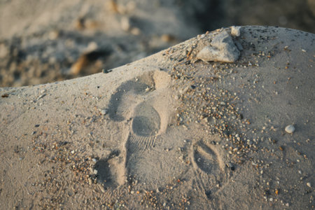 A photo of a sandy, textured surface with small pebbles and grains of sandの写真素材