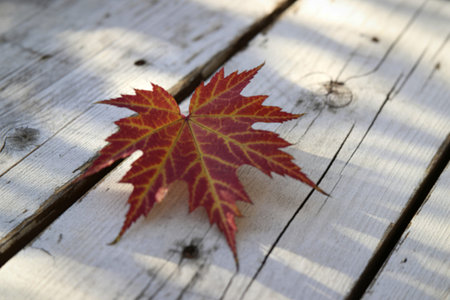 A close-up photograph of a single vibrant crimson autumn leaf