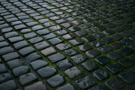 A close-up photograph of wet cobblestone pavementの写真素材