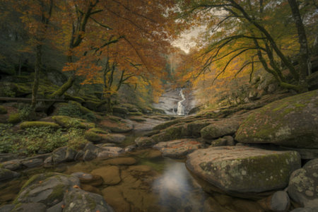 A serene autumnal landscape photo with a gentle stream
