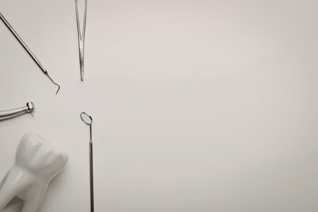 The image shows a collection of dental instruments and a model of a human jaw on a white surface.の写真素材