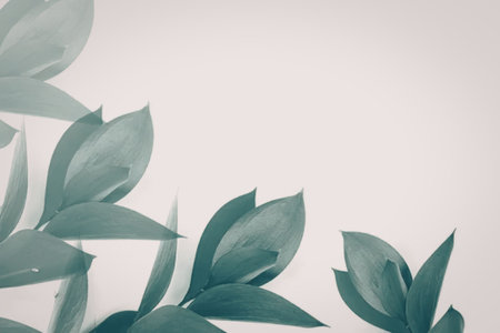 A collection of green leaves on a white background