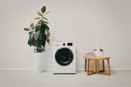 A washing machine next to a plant and a small tableの写真素材