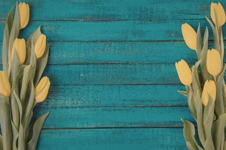 A beautiful arrangement of vibrant yellow tulips against a rustic turquoise wooden background, perfect for spring and Easter themes.の写真素材