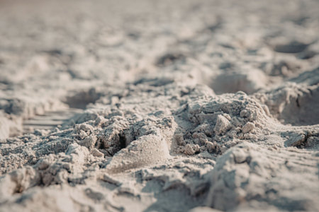 Close up of sandy beach textureの写真素材