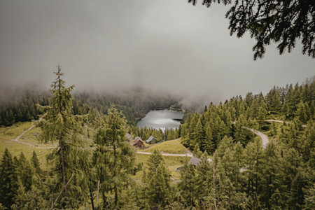 A serene landscape of a house amidst trees