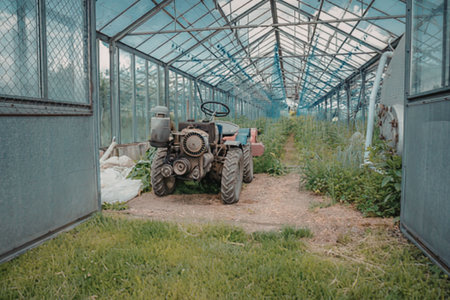 Tractor inside a greenhouseの写真素材