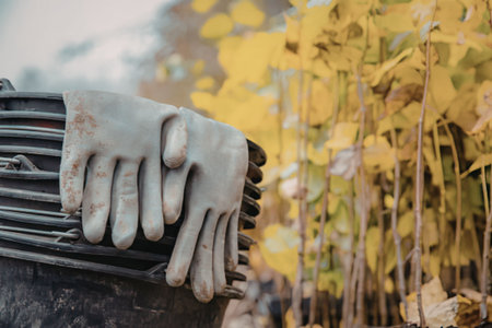 Gloves on a fence with autumn leaves