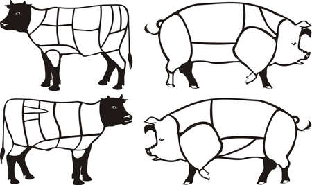 beef & pork diagram - american & british cutsのイラスト素材