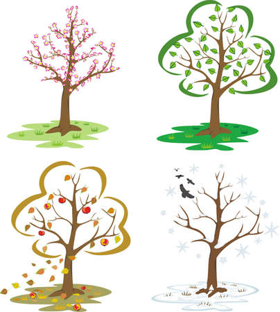 four seasons - trees during the seasons of the year のイラスト素材