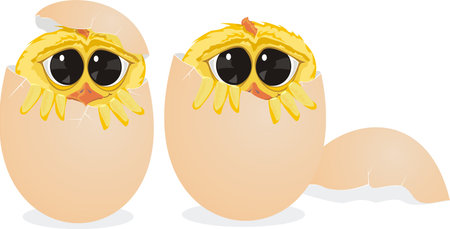 chick and eggのイラスト素材