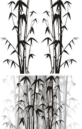 bamboo  background - black and whiteのイラスト素材