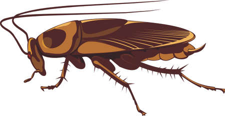 cockroachのイラスト素材