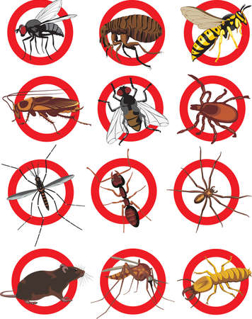 pests icon - colorのイラスト素材