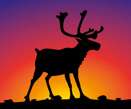 reindeer on the background of sunset skyのイラスト素材