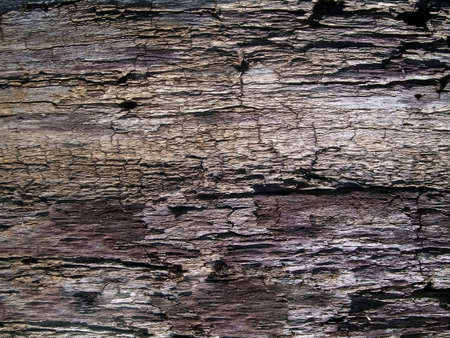 ancient wood texture close upの写真素材