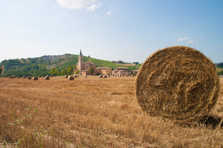 Hay Bales in the countryside