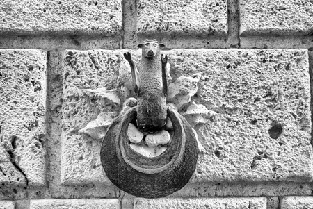 metal sheepの写真素材