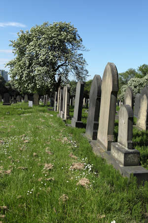 Scene in a Cemeteryの写真素材