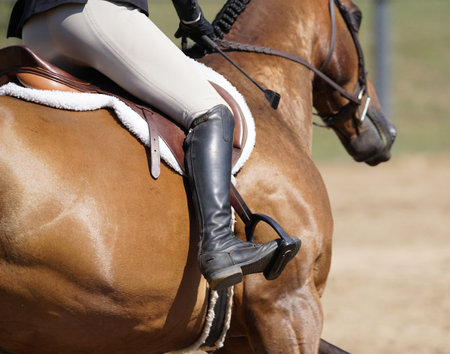Close up view of English equestrian in competition riding a galloping brown horse in English saddle with tall black boots.の写真素材