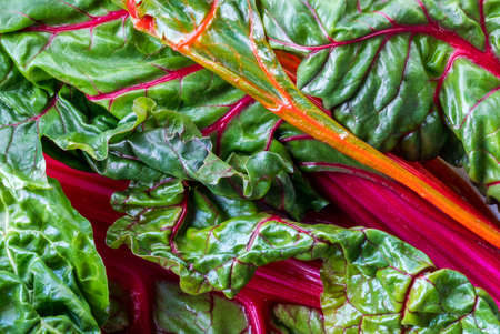 Flat lay close up view of a bunch of fresh rainbow Swiss chard leaves.の写真素材