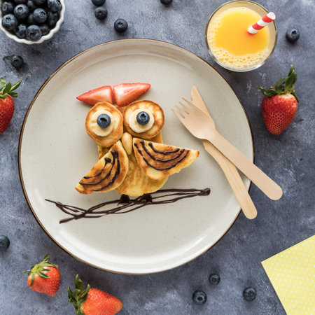 Homemade keto diet pancakes in the shape of an owl served with fruit and juice.の写真素材